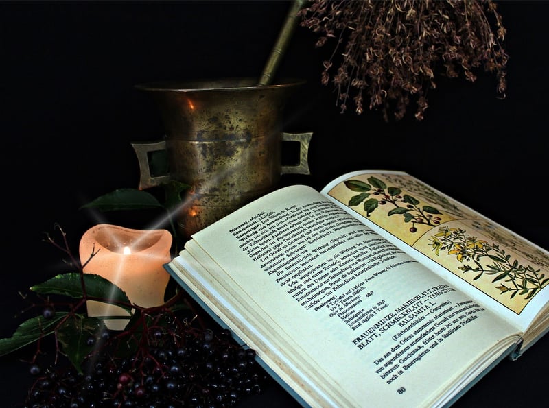 Alchemy for Plants