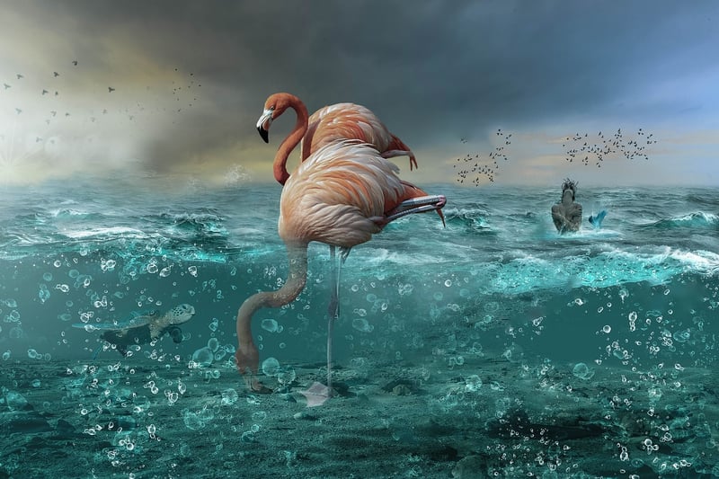 Mermaid Pond Image
